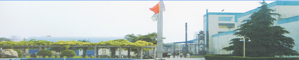特姆優(yōu)傳動(dòng)