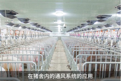 怎樣提高雞舍鴨舍豬舍養(yǎng)殖場(chǎng)的環(huán)境通風(fēng)效果？